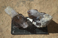 Natural Large Smokey Window Amethyst Specimens  x 6 From Chiredzi, Zimbabwe - Toprock Gemstones and Minerals 