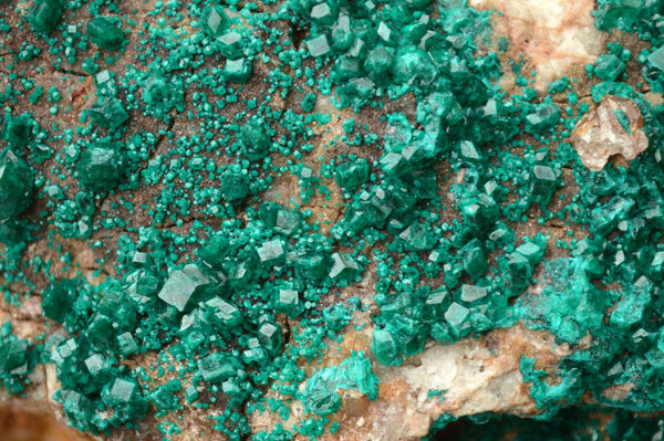 Natural XXL Stunning Dioptase Specimen With Big Emerald Green Crystals x 1 From Congo - TopRock