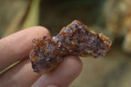 Natural Small Dark "Amethystos" Amethyst Clusters  x 35 From Kwaggafontein, South Africa - Toprock Gemstones and Minerals 