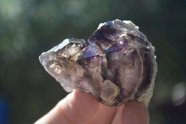 Natural Large Smokey Window Amethyst Specimens  x 6 From Chiredzi, Zimbabwe - Toprock Gemstones and Minerals 