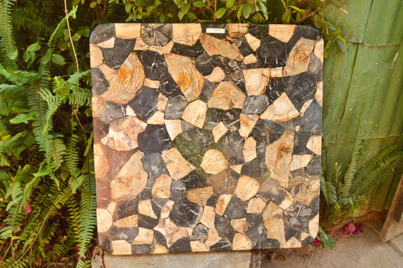 Polished Unusual Black & White Petrified Wood Table Top x 1 From Madagascar - Toprock Gemstones and Minerals 