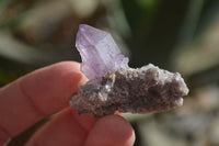 Natural Small Amethyst Window Quartz Crystals  x 35 From Chiredzi, Zimbabwe - Toprock Gemstones and Minerals 