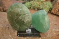 Polished  Green Fluorite Standing Free Forms  x 2 From Madagascar - Toprock Gemstones and Minerals 