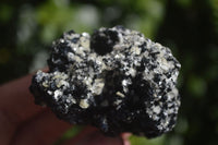 Natural Schorl Black Tourmaline Specimens  x 6 From Erongo, Namibia - Toprock Gemstones and Minerals 