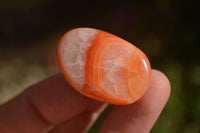 Polished  Carnelian Agate Tumble Stones  x 1 Kg Lot From Madagascar - Toprock Gemstones and Minerals 