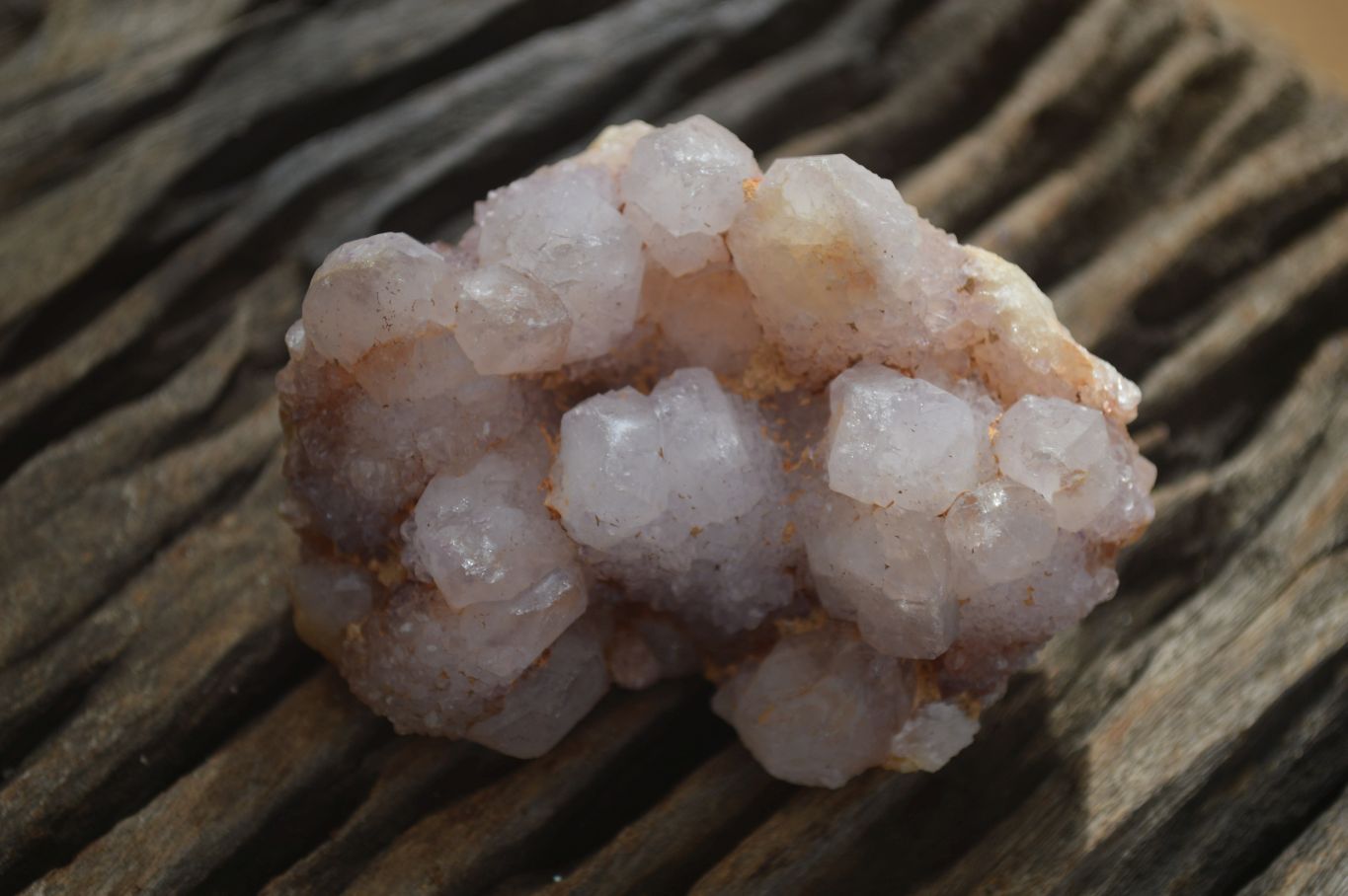 Natural Spirit Quartz Clusters x 9 From Boekenhouthoek, South Africa - Toprock Gemstones and Minerals 