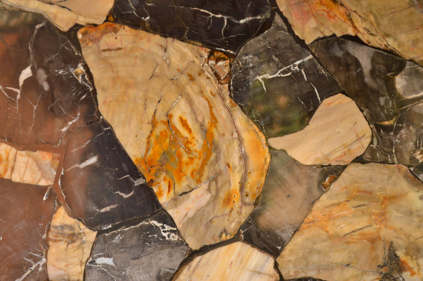 Polished Unusual Black & White Petrified Wood Table Top x 1 From Madagascar - Toprock Gemstones and Minerals 