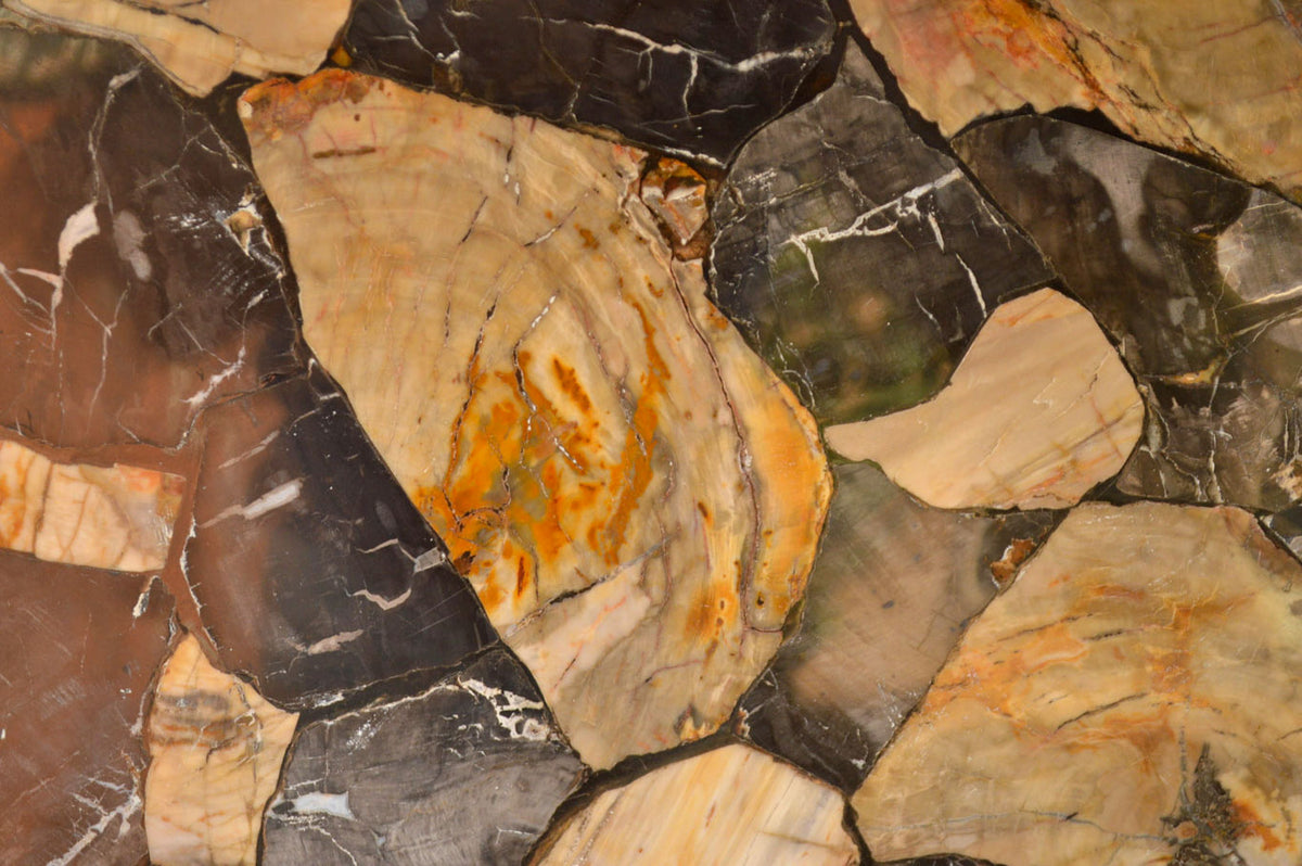 Polished Unusual Black & White Petrified Wood Table Top x 1 From Madagascar - Toprock Gemstones and Minerals 