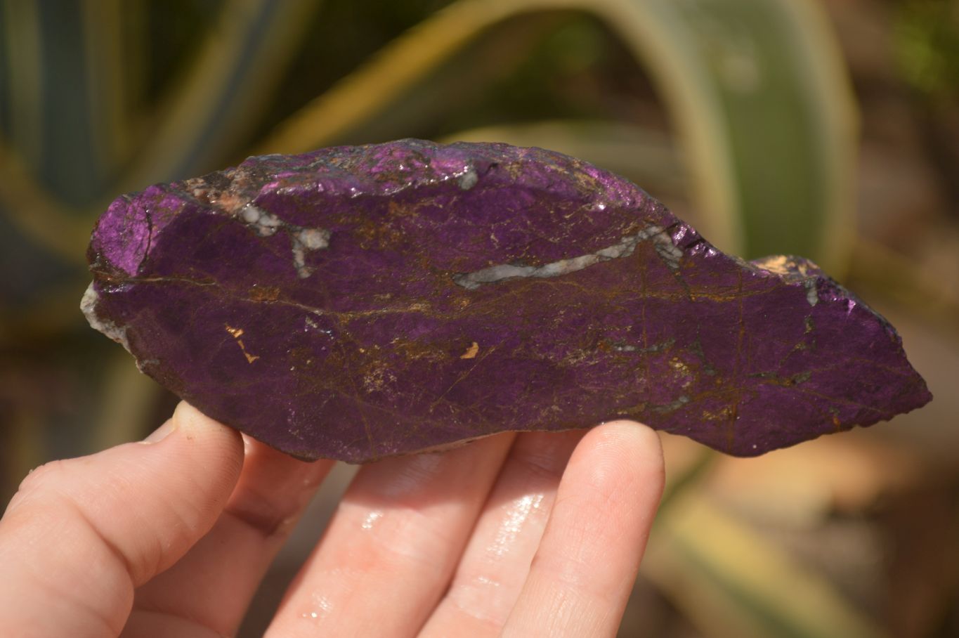 Polished  Metallic Purpurite Slices With Matte Finish x 6 From Erongo, Namibia - Toprock Gemstones and Minerals 