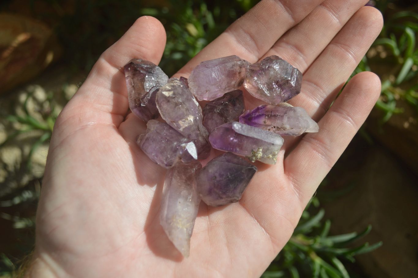 Natural Single Smokey Amethyst Crystals  x 35 From Chiredzi, Zimbabwe - Toprock Gemstones and Minerals 