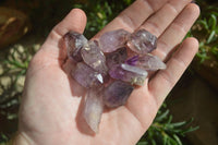 Natural Single Smokey Amethyst Crystals  x 35 From Chiredzi, Zimbabwe - Toprock Gemstones and Minerals 