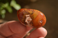 Polished  Carnelian Agate Tumble Stones  x 1 Kg Lot From Madagascar - Toprock Gemstones and Minerals 