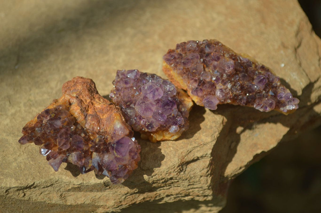 Natural Small Dark "Amethystos" Amethyst Clusters  x 35 From Kwaggafontein, South Africa - Toprock Gemstones and Minerals 