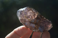 Natural Large Smokey Window Amethyst Specimens  x 6 From Chiredzi, Zimbabwe - Toprock Gemstones and Minerals 