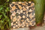 Polished Unusual Black & White Petrified Wood Table Top x 1 From Madagascar - Toprock Gemstones and Minerals 