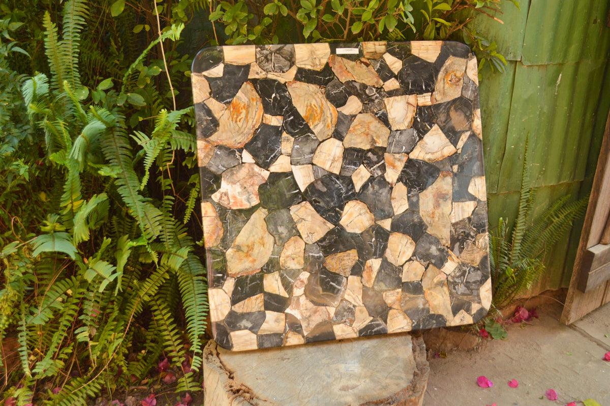 Polished Unusual Black & White Petrified Wood Table Top x 1 From Madagascar - Toprock Gemstones and Minerals 