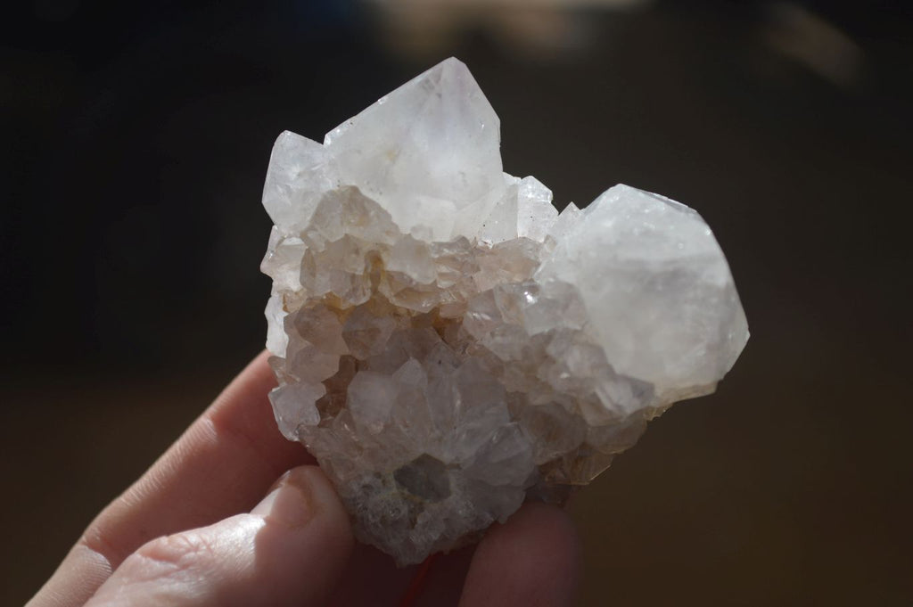 Natural Large White Cactus Flower Spirit Quartz Clusters x 12 From Boekenhouthoek, South Africa - Toprock Gemstones and Minerals 
