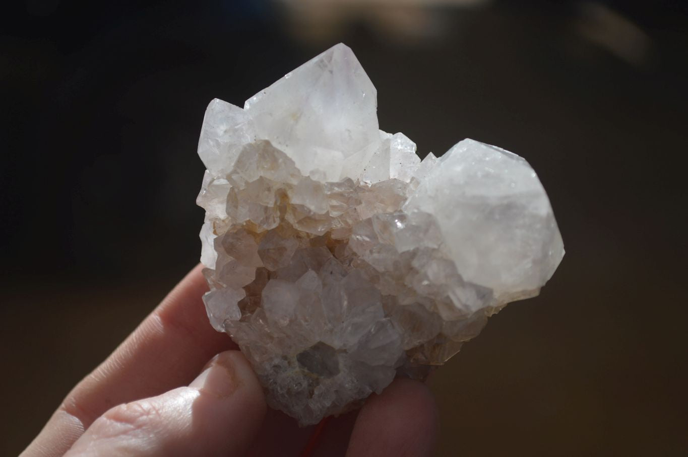 Natural Large White Cactus Flower Spirit Quartz Clusters x 12 From Boekenhouthoek, South Africa - Toprock Gemstones and Minerals 