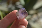 Natural Single Smokey Amethyst Crystals  x 35 From Chiredzi, Zimbabwe - Toprock Gemstones and Minerals 