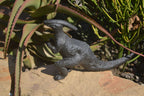 Polished Black Soapstone Dinosaur Carving x 1 From Zimbabwe - Toprock Gemstones and Minerals 