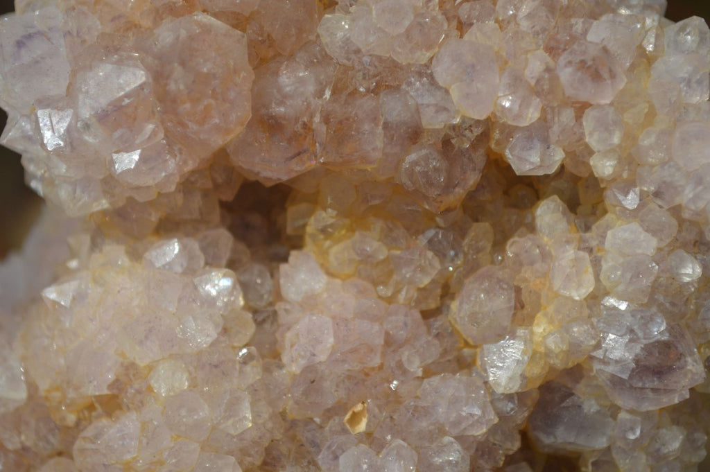 Natural Spirit Quartz Clusters x 9 From Boekenhouthoek, South Africa - Toprock Gemstones and Minerals 
