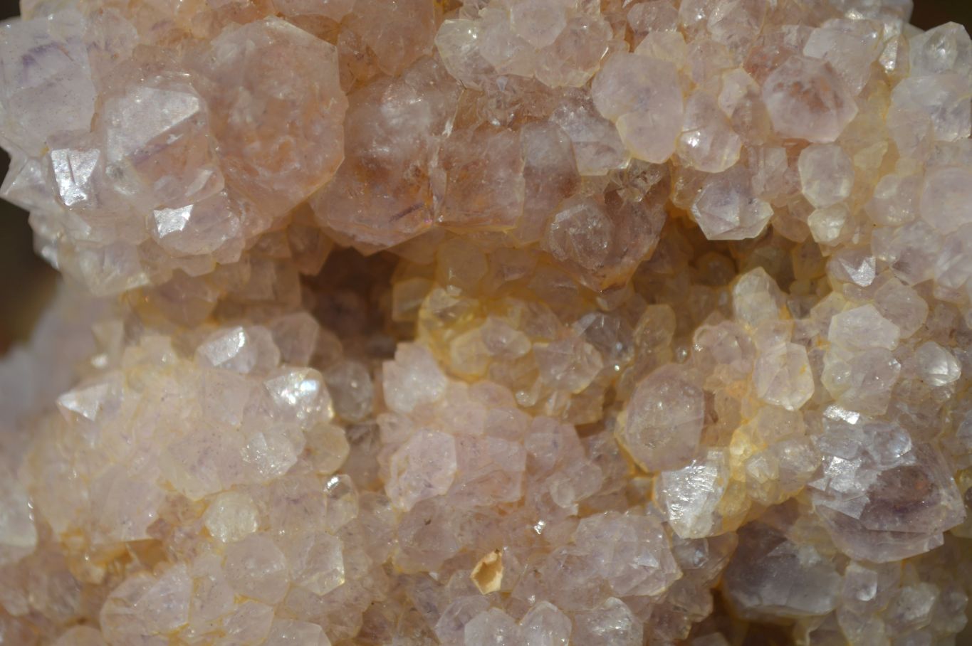 Natural Spirit Quartz Clusters x 9 From Boekenhouthoek, South Africa - Toprock Gemstones and Minerals 