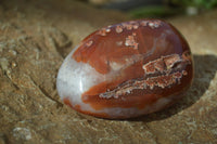 Polished Red Sashe River Agate Free Forms x 6 From Sashe River, Zimbabwe - Toprock Gemstones and Minerals 