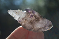 Natural Large Smokey Window Amethyst Specimens  x 6 From Chiredzi, Zimbabwe - Toprock Gemstones and Minerals 