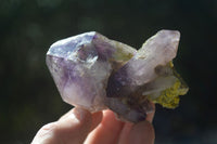 Natural Large Smokey Window Amethyst Specimens  x 6 From Chiredzi, Zimbabwe - Toprock Gemstones and Minerals 