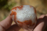 Polished Red Sashe River Agate Free Forms x 6 From Sashe River, Zimbabwe - Toprock Gemstones and Minerals 