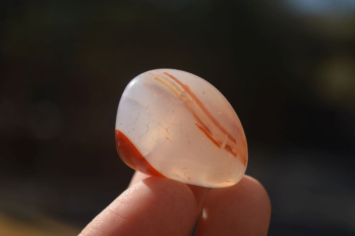 Polished  Carnelian Agate Tumble Stones  x 1 Kg Lot From Madagascar - Toprock Gemstones and Minerals 