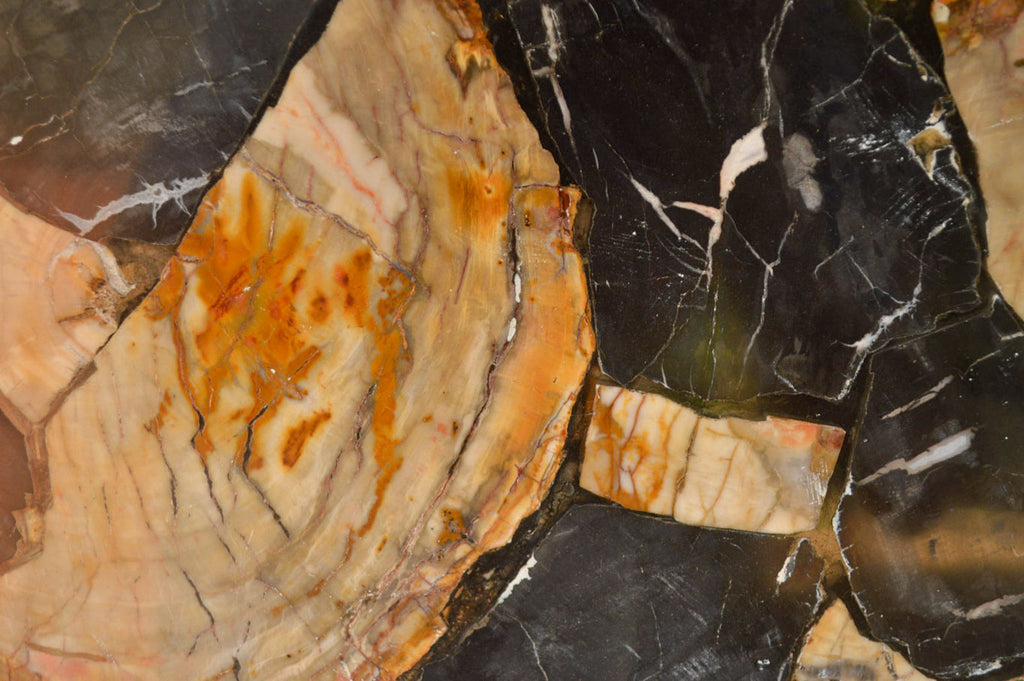Polished Unusual Black & White Petrified Wood Table Top x 1 From Madagascar - Toprock Gemstones and Minerals 
