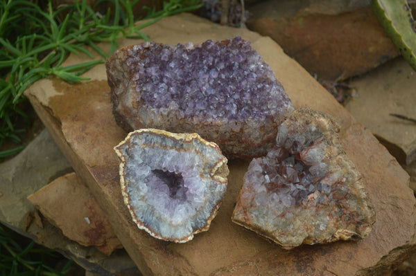 Natural Amethyst Crystal Specimens  x 3 From Zululand, South Africa