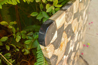 Polished Unusual Black & White Petrified Wood Table Top x 1 From Madagascar