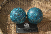 Polished Conglomerate Chrysocolla Spheres With Azurite & Malachite x 2 From Congo - Toprock Gemstones and Minerals 