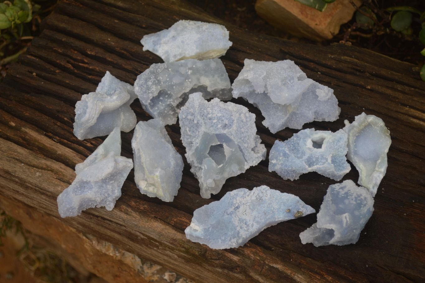 Natural Etched Blue Chalcedony Specimens  x 12 From Nsanje, Malawi - Toprock Gemstones and Minerals 