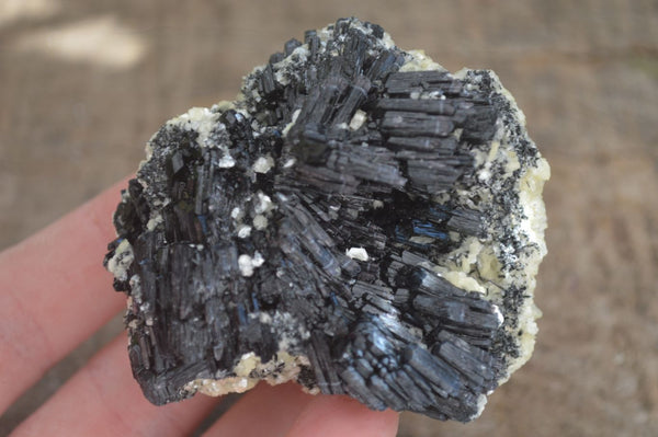 Natural Schorl Black Tourmaline Specimens  x 6 From Erongo, Namibia - Toprock Gemstones and Minerals 