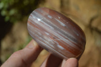 Polished Red Sashe River Agate Free Forms x 6 From Sashe River, Zimbabwe - Toprock Gemstones and Minerals 