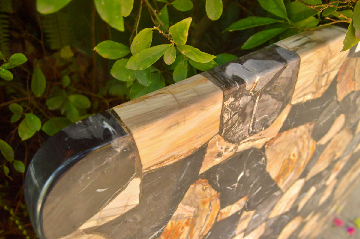 Polished Unusual Black & White Petrified Wood Table Top x 1 From Madagascar - Toprock Gemstones and Minerals 