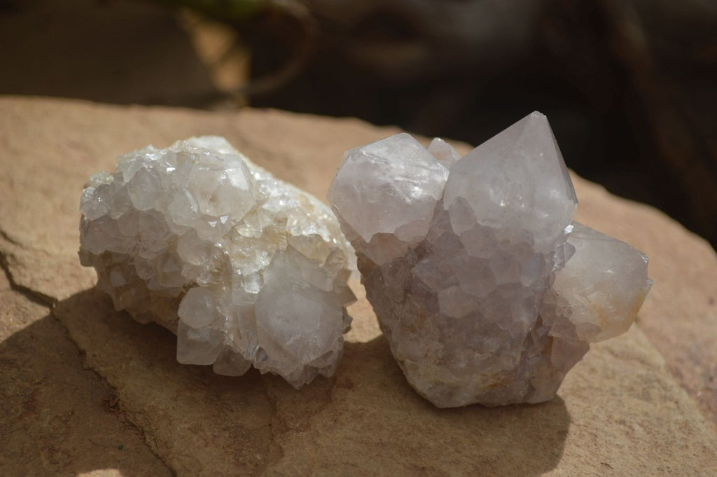 Natural Large White Cactus Flower Spirit Quartz Clusters x 12 From Boekenhouthoek, South Africa - Toprock Gemstones and Minerals 
