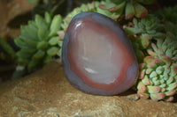 Polished Red Sashe River Agate Free Forms x 6 From Sashe River, Zimbabwe - Toprock Gemstones and Minerals 
