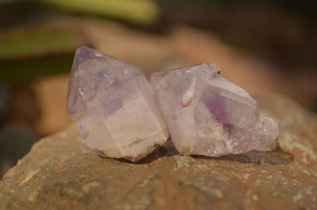 Natural Royal Zulu Window Amethyst Crystals x 70 From, South Africa - Toprock Gemstones and Minerals 