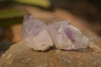 Natural Royal Zulu Window Amethyst Crystals x 70 From, South Africa - Toprock Gemstones and Minerals 