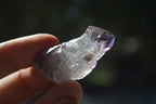 Natural Single Smokey Amethyst Crystals  x 35 From Chiredzi, Zimbabwe - Toprock Gemstones and Minerals 