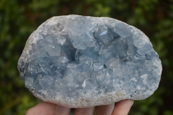 Natural Blue Celestite Geode Specimen  x 1 From Sakoany, Madagascar - Toprock Gemstones and Minerals 