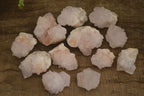 Natural White Cactus Flower Spirit Quartz Specimens x 12 From Boekenhouthoek, South Africa - Toprock Gemstones and Minerals 