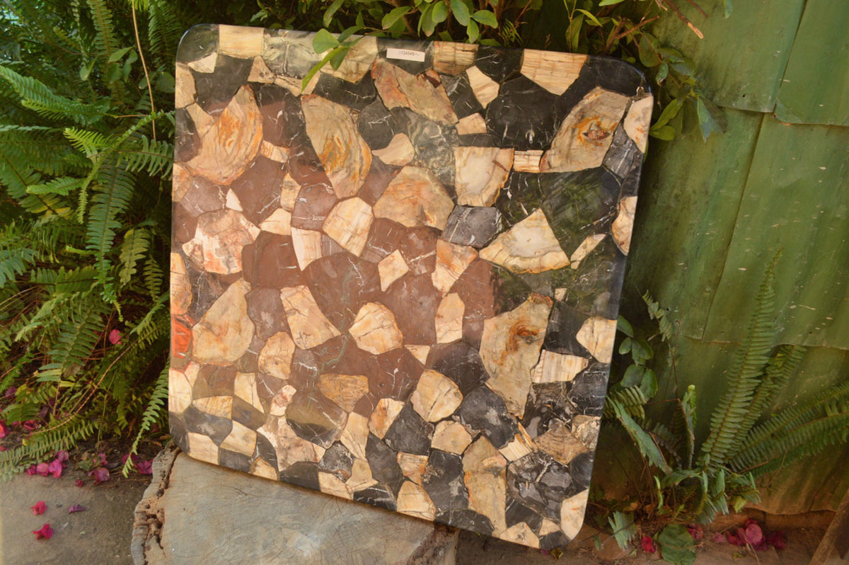 Polished Unusual Black & White Petrified Wood Table Top x 1 From Madagascar - Toprock Gemstones and Minerals 