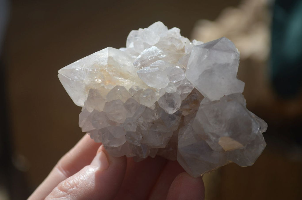 Natural Large White Cactus Flower Spirit Quartz Clusters x 12 From Boekenhouthoek, South Africa - Toprock Gemstones and Minerals 