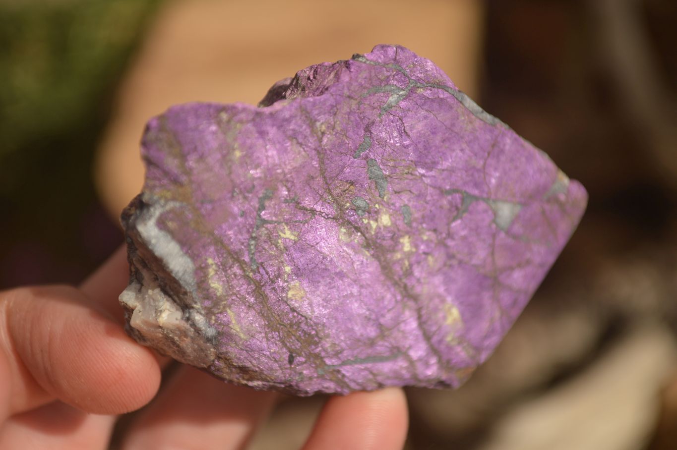 Polished  Metallic Purpurite Slices With Matte Finish x 6 From Erongo, Namibia - Toprock Gemstones and Minerals 