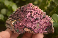 Natural Pink Salrose Cobaltion Dolomite Specimens  x 6 From Kakanda, Congo - Toprock Gemstones and Minerals 